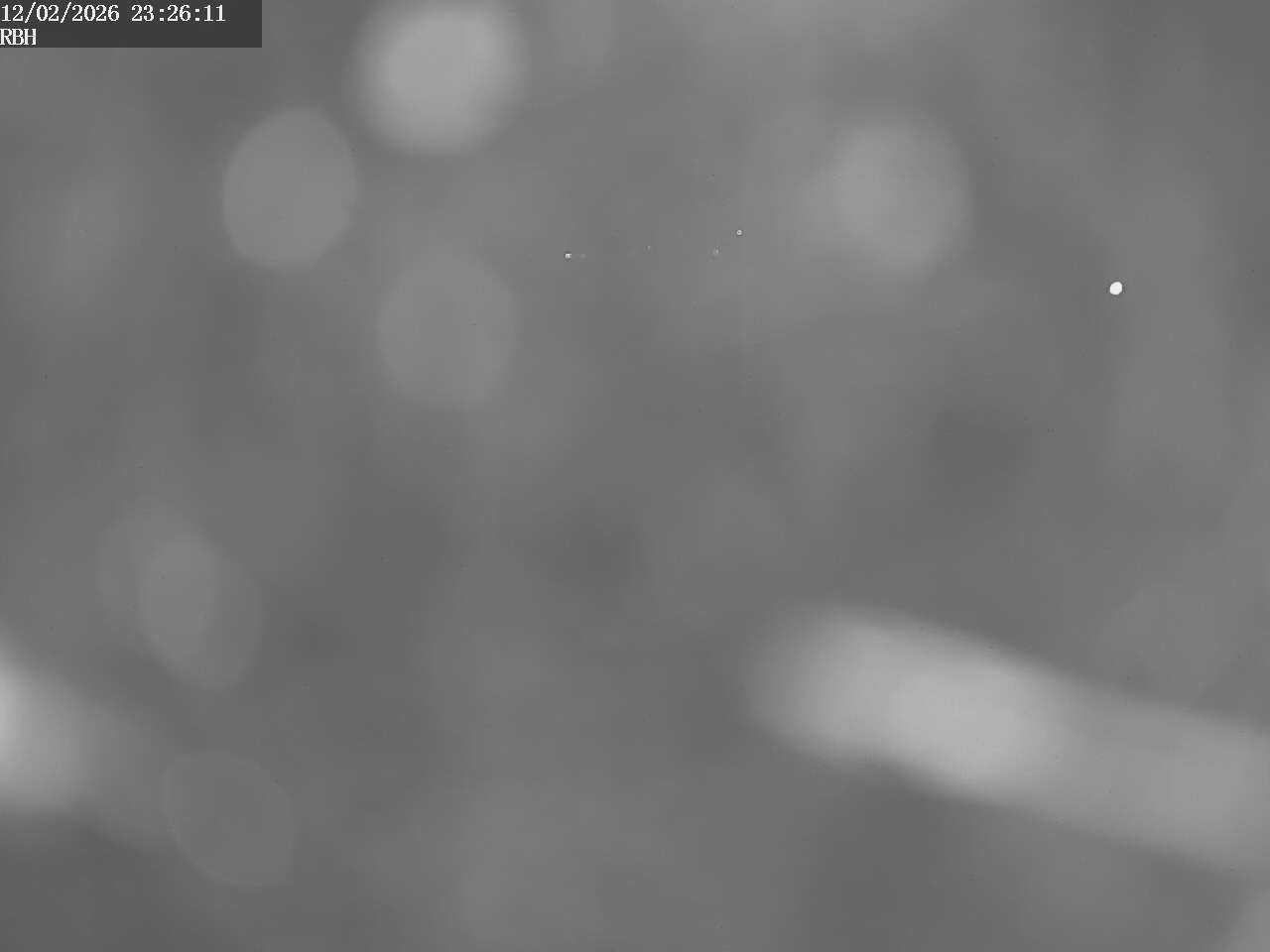 Webcam Riverboating Holidays - Fürstenberg