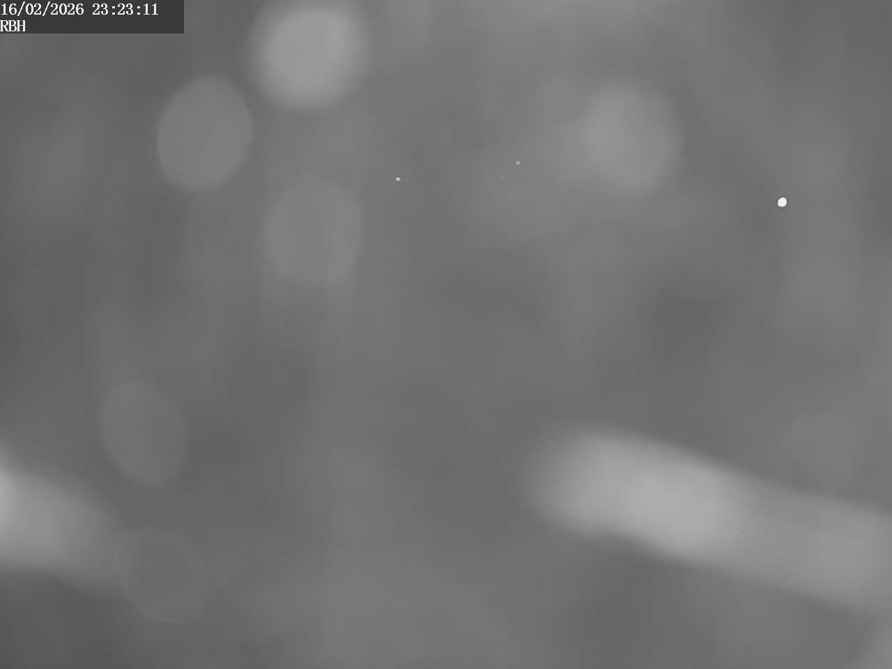 Webcam Riverboating Holidays - Fürstenberg