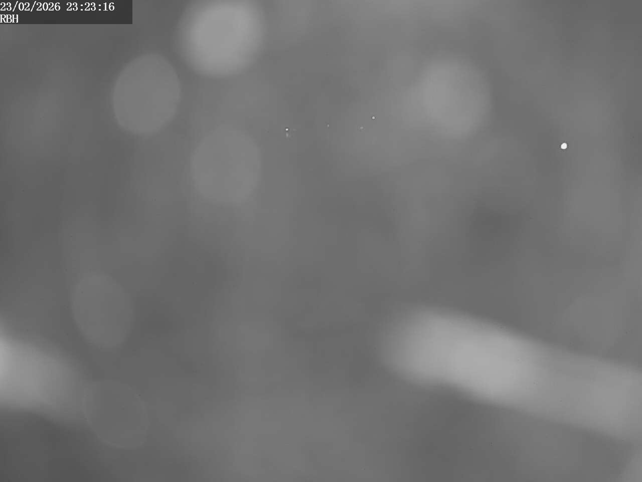 Webcam Riverboating Holidays - Fürstenberg