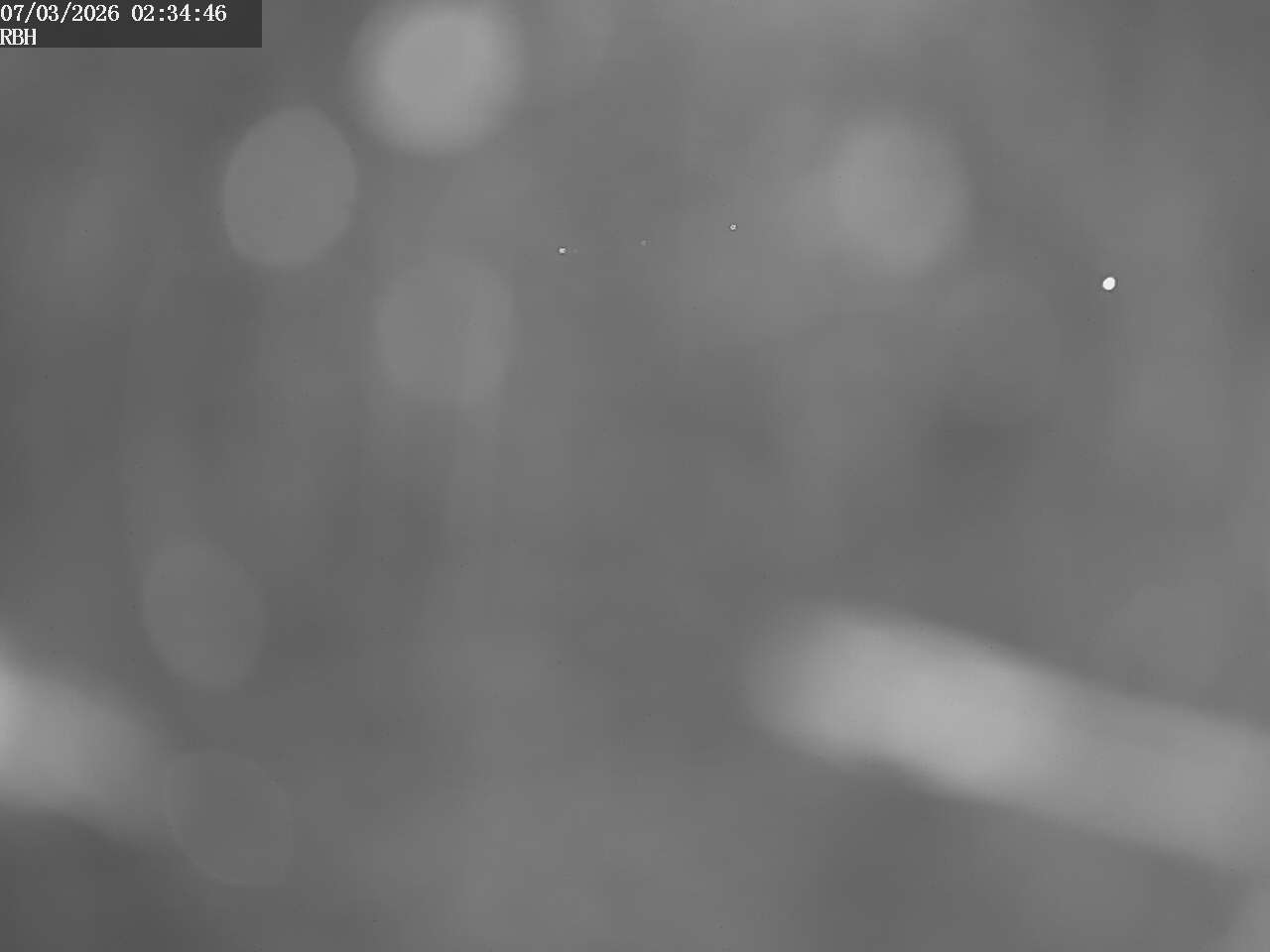 Webcam Riverboating Holidays - Fürstenberg