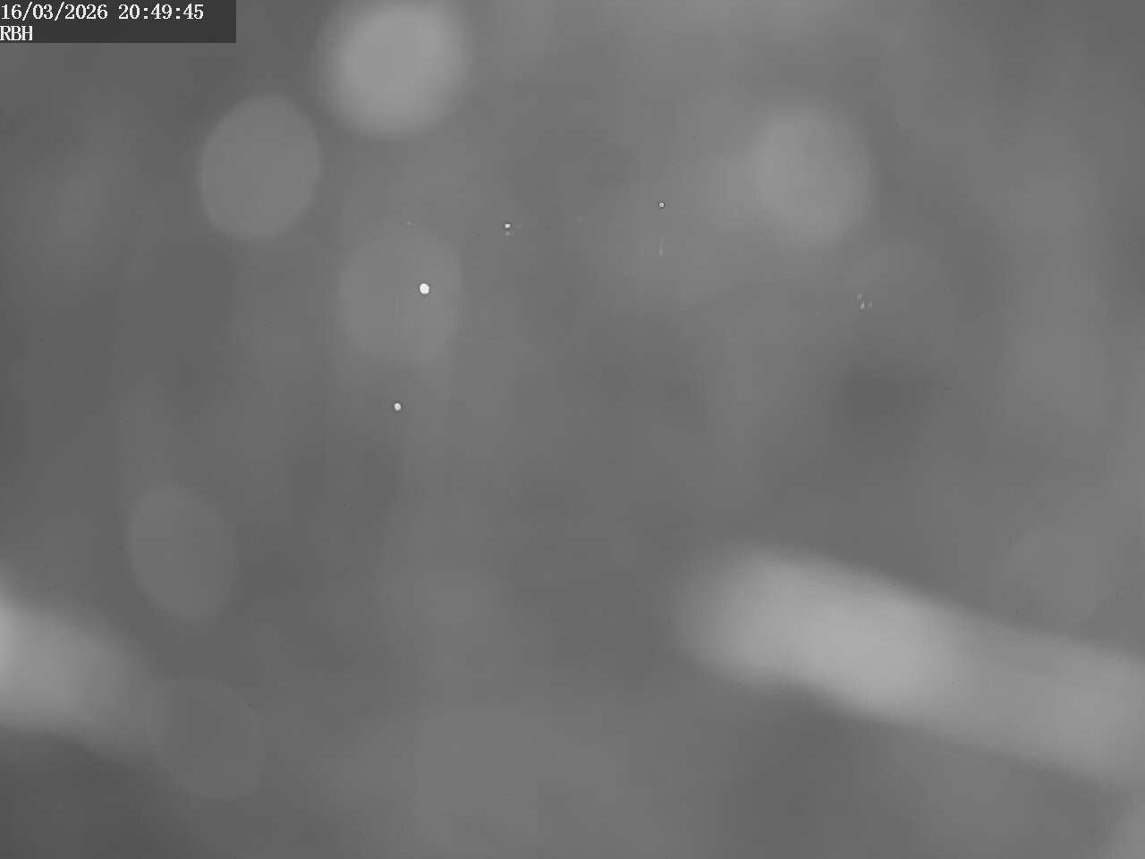 Webcam Riverboating Holidays - Fürstenberg