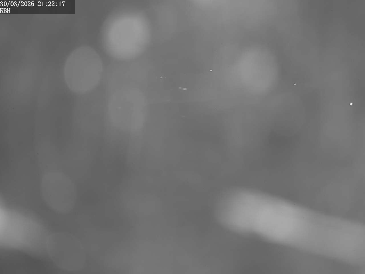 Webcam Riverboating Holidays - Fürstenberg