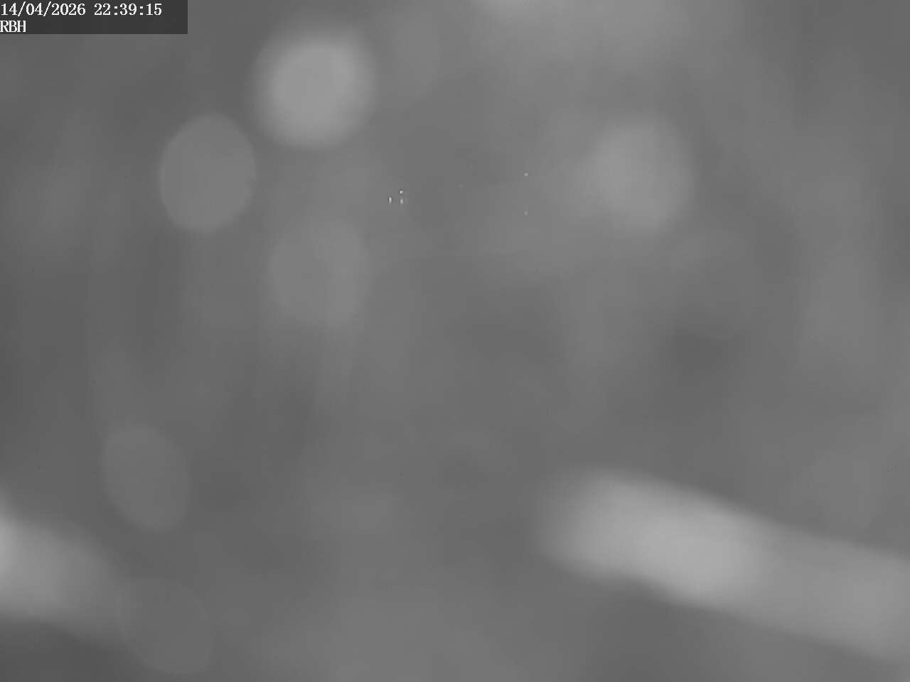 Webcam Riverboating Holidays - Fürstenberg