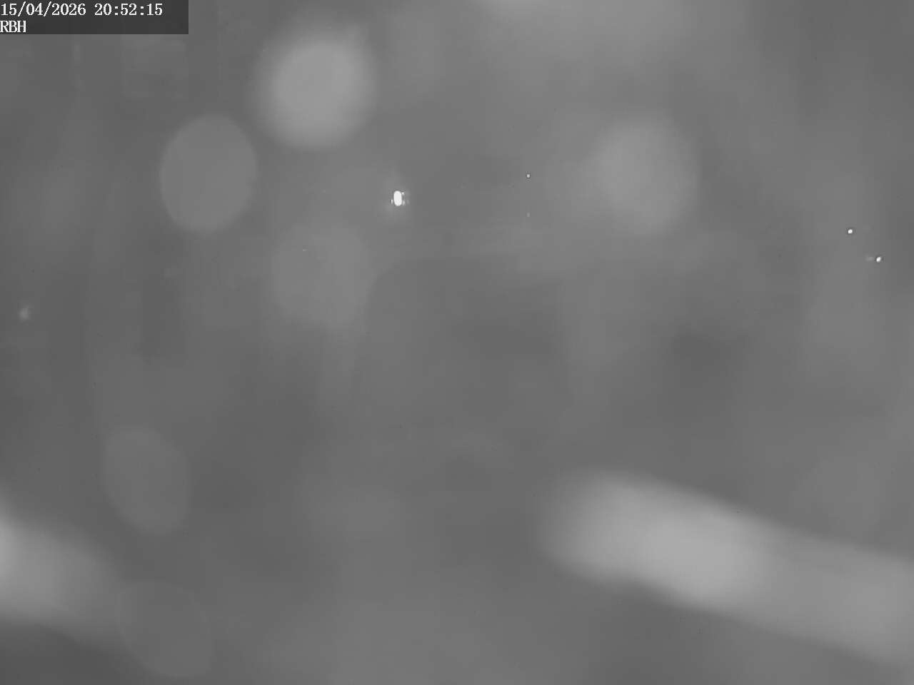 Webcam Riverboating Holidays - Fürstenberg