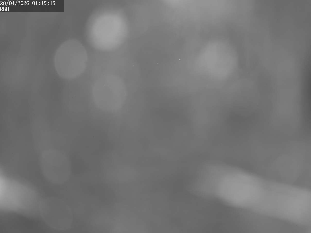 Webcam Riverboating Holidays - Fürstenberg